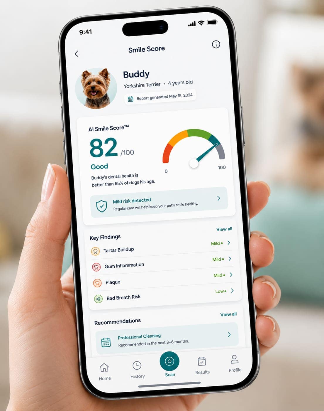 Bella's AI dental report on phone with findings and summary